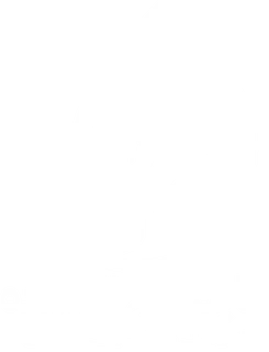 ماينينج العمدة