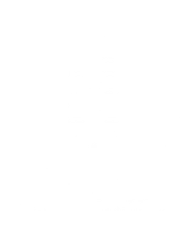 د. أحمد فرحاني