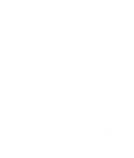 د. محمد المهدي